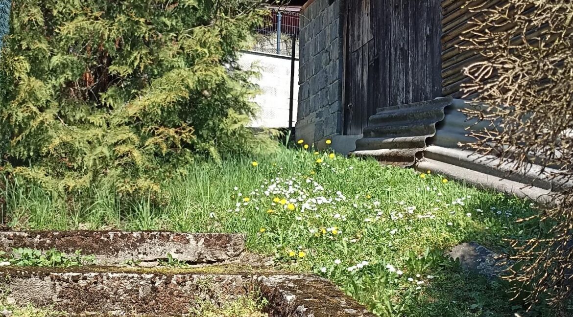 11 IMG_20260423_142936a