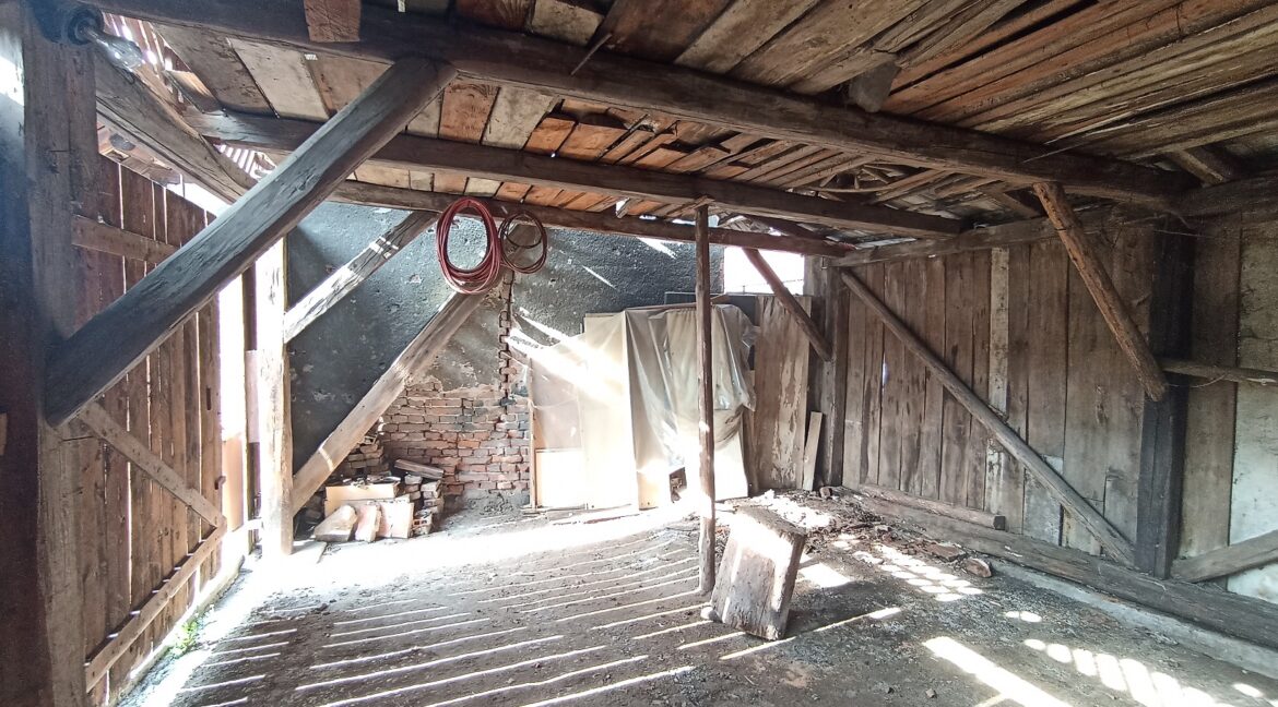 33 IMG_20240411_092914